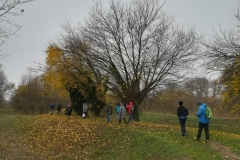 Giornata dell'Albero 2021 al bosco di Carpaneda