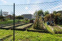 Foto Mara Scampoli