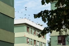 Foto Mara Scampoli