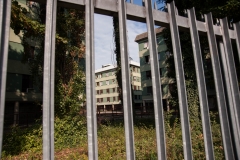 Foto Mara Scampoli