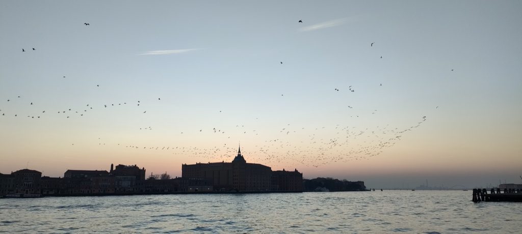 venezia zattere