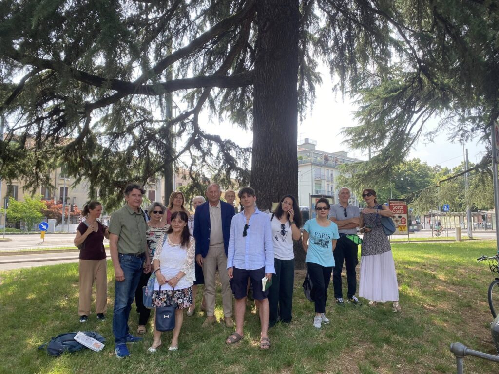 Il cedro di Piazzale Santa Croce a Padova, al centro della foto Gianluca Stefani (foto dal suo profilo Facebook)